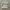 Nike Y2K Casual Track jacket Pria white photo 1