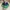 Nike Sportswear Sneakers Pria green black photo 4