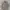 Vintage Y2K Denim jacket Pria tan cream photo 1