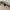 H&M Streetwear Casual Fleece Pria tan photo 5