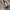 H&M Streetwear Casual Fleece Pria tan photo 4