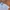 Vintage Pria white blue photo 2