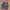 Vintage Streetwear Suit Pria navy photo 1