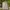 National Geographic Vintage Sweater Pria white photo 1