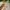National Geographic Vintage Sweater Pria white photo 2
