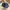 New Balance Sportswear Sneakers Pria black photo 4