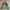 Japanese brand Vintage Casual Hoody Wanita green photo 2