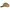 H&M Streetwear Skater Hat Pria tan cream photo 6
