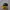 New Era Casual Pria green yellow photo 1