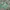Streetwear Jersey Pria green photo 5