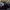 Jaket Hoodie Not ASSC Car Enthusiast Motuba Slow Car Car Clu photo 1