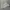 Casual Harrington jacket Pria white gray photo 8