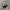Casual Harrington jacket Pria white gray photo 5