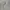 Casual Harrington jacket Pria white gray photo 2