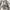 Topten Casual Sweater Pria gray photo 2