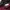 Columbia Vintage Streetwear Windbreaker Pria purple burgundy photo 4
