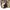 Vintage Y2K Skirt Wanita tan black photo 7