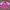 Pink Boxy T-Shirt (L) photo 1