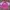 Pink Boxy T-Shirt (L)