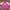 Pink Boxy T-Shirt (L) photo 2