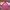 Pink Boxy T-Shirt (L)