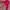 NEPA Y2K Casual Parka Pria tan red photo 2