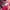 Miniso Emo Cosplay Wanita purple pink photo 2