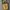 Biker Casual Bag Pria khaki photo 1