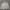 Nike Sportswear Hoody Pria gray photo 1