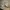 New Balance Streetwear Casual Sneakers Pria tan gray photo 4