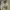 New Balance Streetwear Casual Sneakers Pria tan gray photo 5