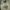 New Balance Skater Sportswear Sneakers Pria tan gray photo 2