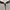 Polo Ralph Lauren Minimalist Casual Hoody Pria tan cream photo 4