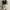 Gorpcore Emo Mini skirt Wanita cream photo 3