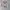 Adidas Sportswear Jersey Pria white photo 2