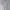 Adidas Sportswear Jersey Pria white photo 6