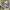 Nike Casual Sneakers Pria white gray photo 1