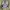 Nike Casual Sneakers Pria white gray photo 4