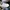 Adorable Projects Sportswear Casual Sneakers Wanita white photo 2