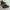 Adidas Sportswear Sneakers Pria red black photo 3