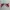Adidas Sportswear Sneakers Pria red black photo 4