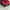 Adidas Sportswear Sneakers Pria red black photo 6