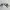 Adidas Sportswear Sneakers Pria gray photo 7