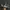 Adidas Indie Casual Sneakers Pria brown gray photo 1