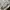 Vintage Sweater Pria white photo 5