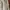 Dickies Casual Hoody Pria multicolor photo 2