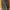 Dickies Casual Hoody Pria multicolor photo 3