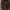 Dickies Casual Hoody Pria multicolor photo 1