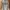 GAP Casual Hoody Pria multicolor photo 2