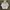 Vintage Y2K Hoody Pria white photo 6